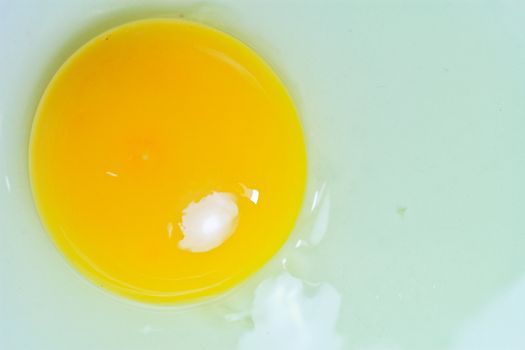 Egg yolk close - up on white
