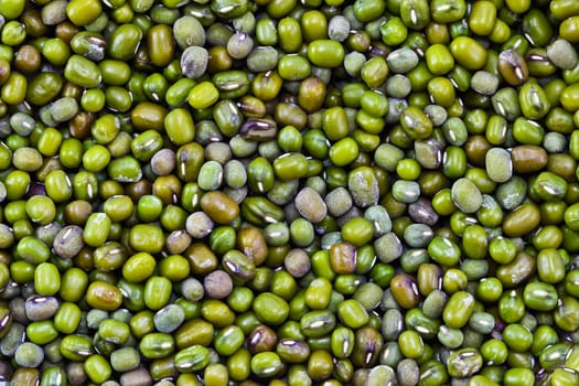 Closes – up green bean.