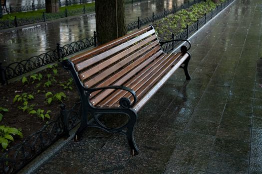 Park bench after rain 
