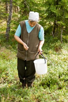 an senior woman walking in the forest and looking for berries and mushrooms