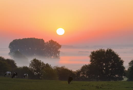 sunrise in the countryside