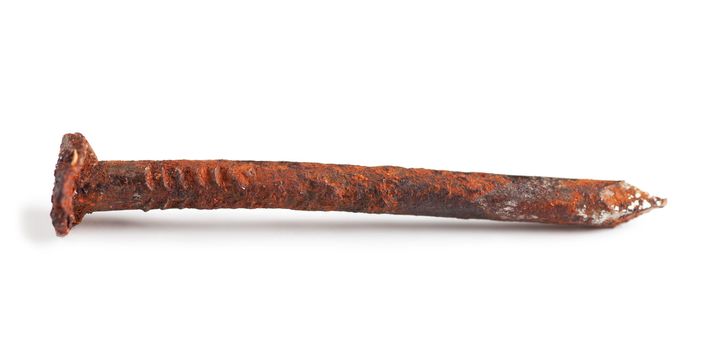Macro view of rusty nail over white background