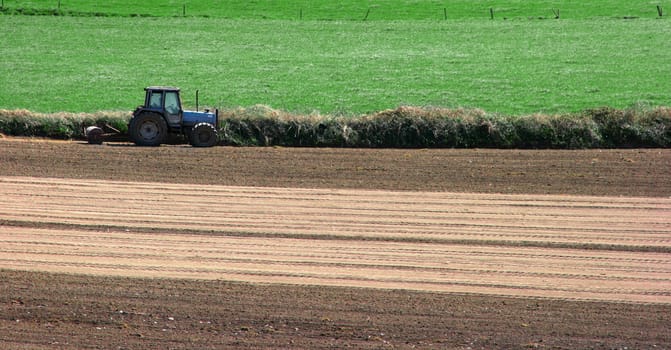 Tractor at work out on field, ploughing