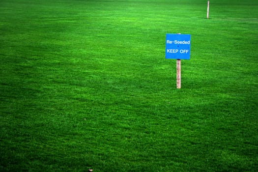 Re-seeded sign in a green grass lawn