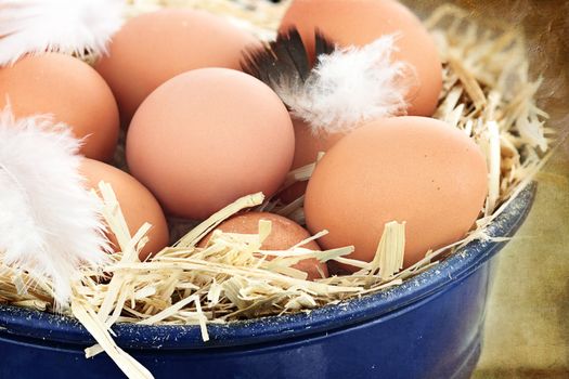 Fresh free range eggs in a nest of straw. 
