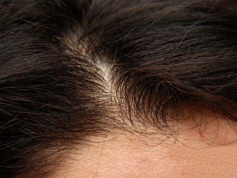 Close up of a humans head, brown thick hair