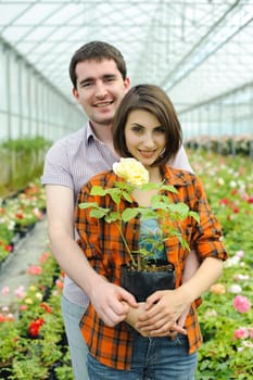 An image of a young couple with a flower pot