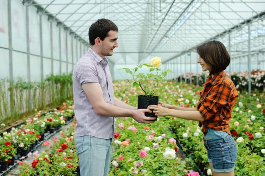 An image of a man giving a flower to woman