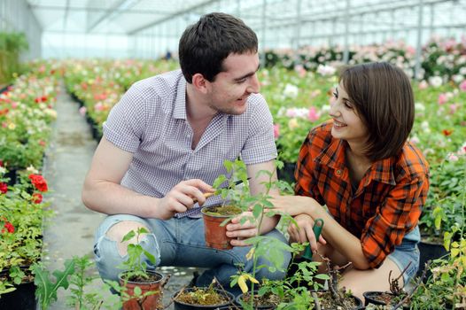 An image of a young couple in a greenhouse