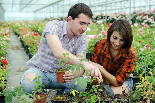 An image of a young couple in a greenhouse