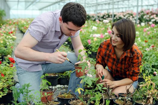 An image of a young couple in a greenhouse