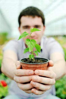 An image of a man with a plant in a pot