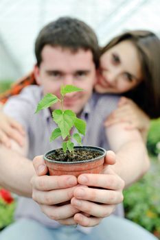 An image of a young couple with a plant in the pot