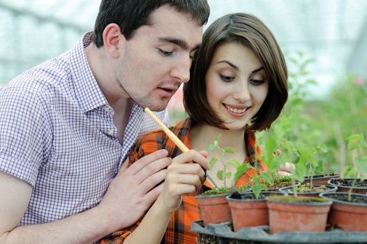 An image of a young couple planting something into the pot