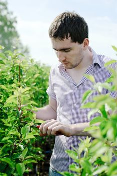 An image of a young gardener working in the garden