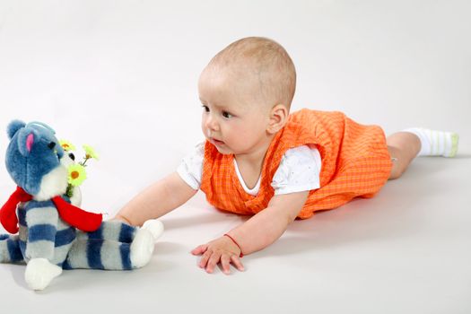 An image of cute baby in a studio