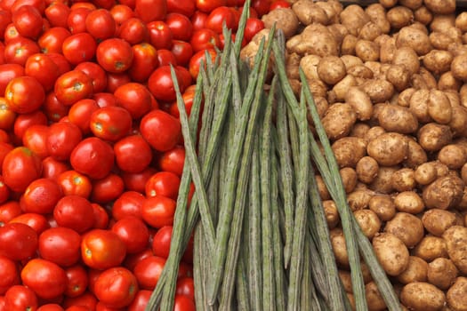 Various vegetables at vegetable market. India