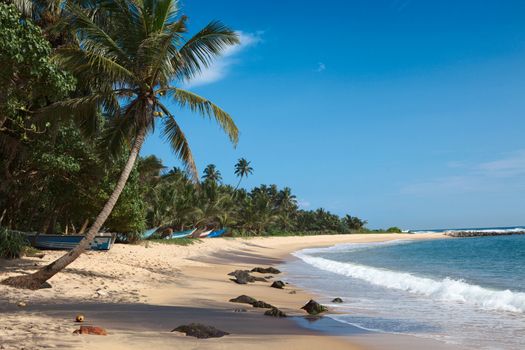 Tropical paradise idyllic beach. Sri Lanka