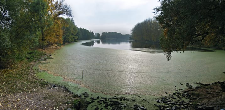 gloomy autumnal landscape scene at a lake