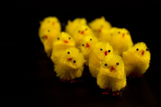 Picture of a bunch of easter chickens marching against eastern