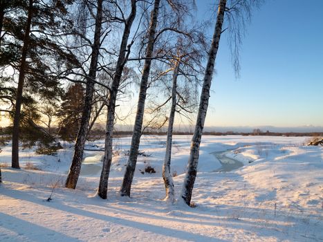 Winter field with trees on sunset with clear blue sky