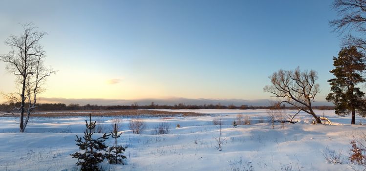 Panorama view of snow winter field on sunset with blue sky