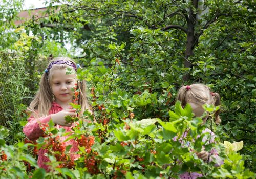 An image of two girls in the garden