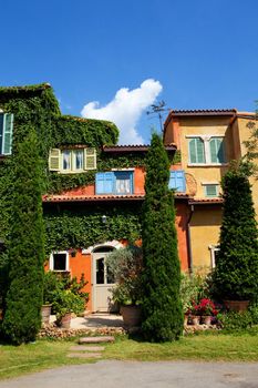 Italy house style covered with grapes vine