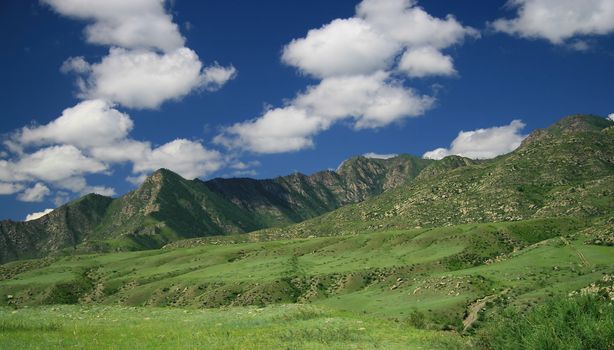 Nature landscape, meadow and mountains, wildlife of Altay