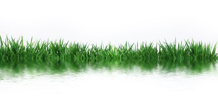 green field on white background