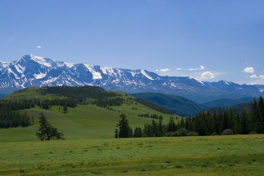 Nature landscape, meadow and mountains, wildlife of Altay