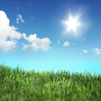 Green field and blue sky with white clouds 