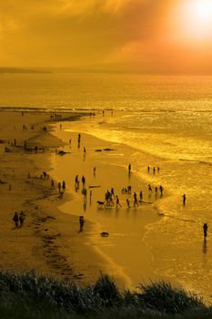 view of a sandy golden beach from a cliff at sunset with families surfers and children in ballybunion county Kerry Ireland