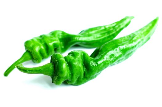 Closeup view of fresh green pepper on a white background
