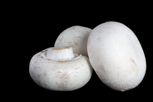 Picture of three champignons