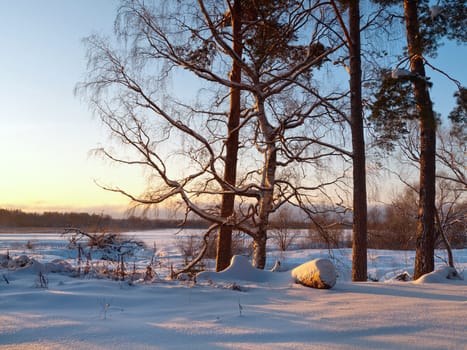 Winter landscape on sunset with beautiful colors of snow