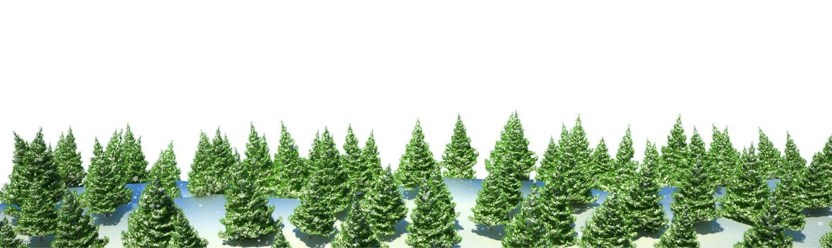 Firtree forest landscape isolated over white background