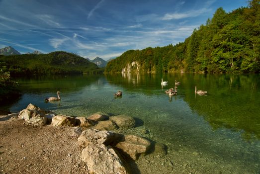 Landscape with swans on lake, sky and mountains on background