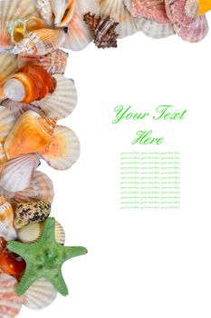 Seashells frame with sample text isolated on white background