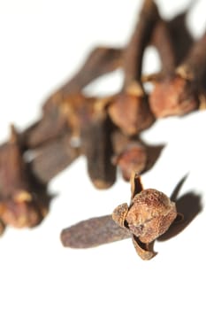 cloves in front of a white background