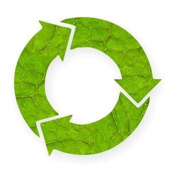 Recycle symbol with leaf texture, isolated white background, clipping path.