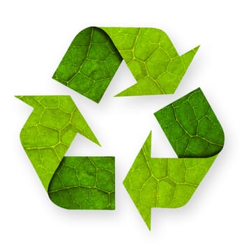 Recycle symbol with leaf texture, isolated white background, clipping path.