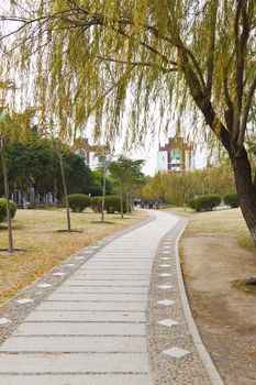 Walkway in a university