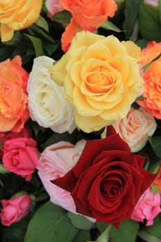 Mixed rose bouquet, big roses in bright colors