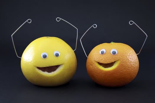 Characters made ​​with citrus fruit and wire