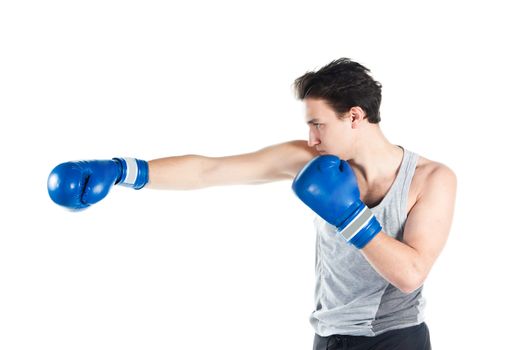 A young boxer in gray shirt and blue boxing gloves