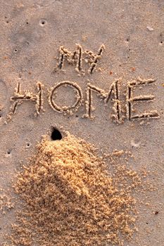 Crab hole and a pile of sand with words my home on a beach