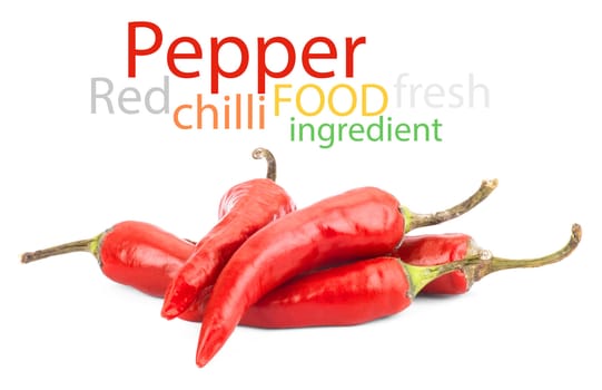 Red chilli pepper isolate on white background. Raw material for food or cooking.