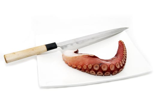 a piece of octopus on a plate and a knife on a white background