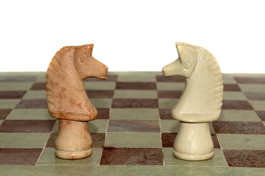 two marble chess horses on the board